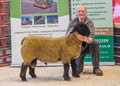 Lot 71 Overall Reserve Champion ram lamb sold for 650 gns